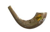 Shofar de carneiro - tamanho D2