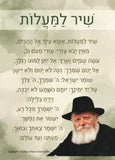 11301-HT