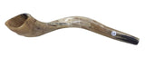 Shofar de Carneiro
