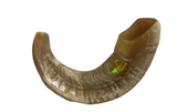 Shofar de carneiro - tamanho A5