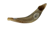 Shofar de carneiro - tamanho E1