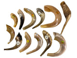 Shofar com suporte